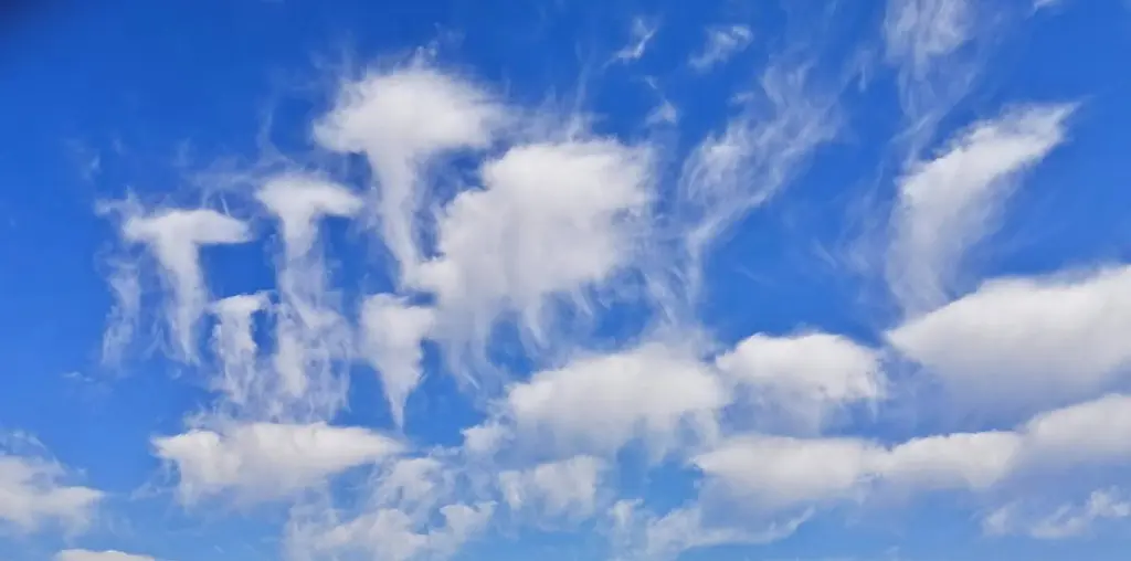 Raras nuvens de “água-viva” no céu da Serra Gaúcha