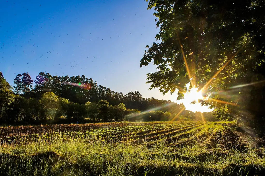 Temperatura sobe nos próximos dias com tardes de calor