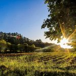 Temperatura sobe nos próximos dias com tardes de calor