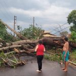 Temporais causam morte e estragos no interior de São Paulo