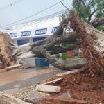 Violentos temporais espalham destruição no Centro-Oeste