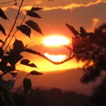 Previsão do tempo é de calor nesta sexta-feira e no fim de semana