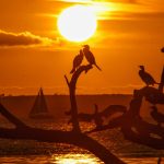 Veja a previsão do tempo para este fim de semana (5/11/2022)