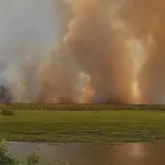 Condição que levou ao pior incêndio da história do Taim persiste