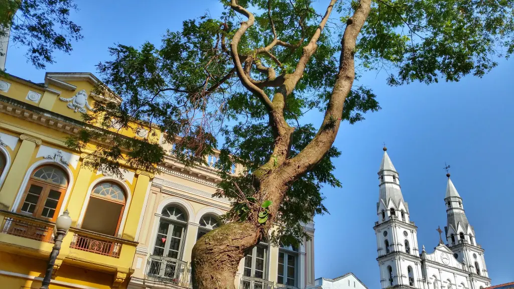 Previsão do tempo: a dez dias do Natal, agasalho cedo da manhã