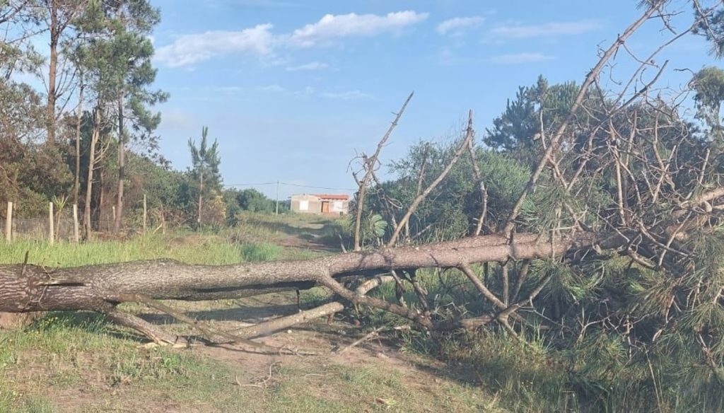 Vento de quase 140 km/h faz estragos no extremo Sul gaúcho