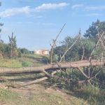 Vento de quase 140 km/h faz estragos no extremo Sul gaúcho