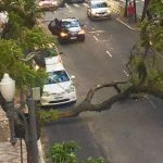 Quantos dias mais teremos de vento forte? E por que o vento?