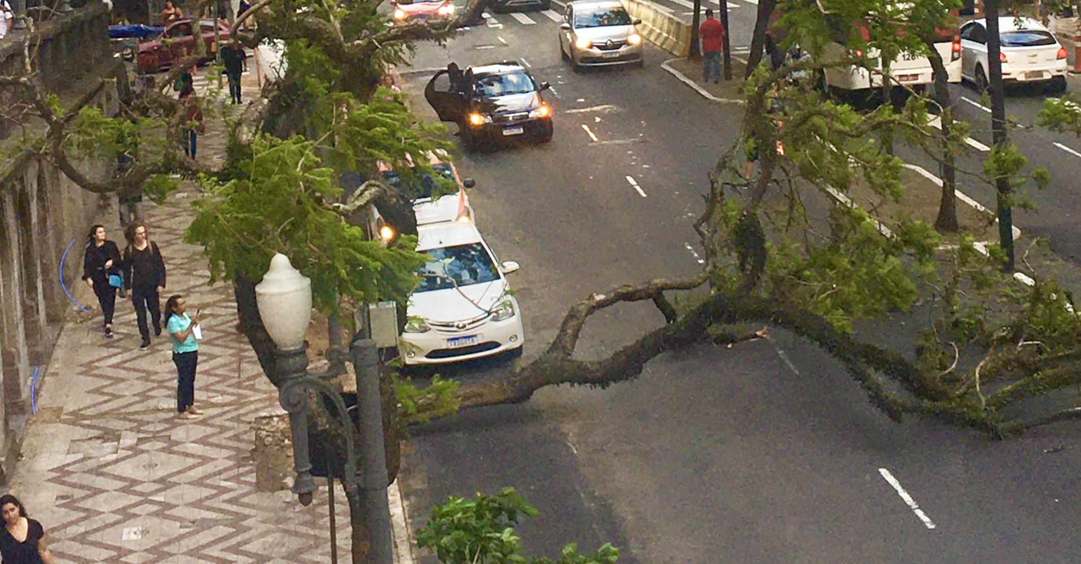 Quantos dias mais teremos de vento forte? E por que o vento? Porto Alegre e o Leste do Rio Grande do Sul enfrentam uma sequência de dias de tempo bastante ventoso com rajadas fortes
