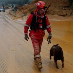 Encerradas as buscas no local do deslizamento da BR-376