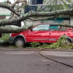 Frente fria chega com vendaval e trará mais temporais fortes