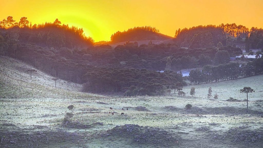 Geada a três dias do fim do ano no Sul do país – Veja as fotos do frio