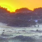 Geada a três dias do fim do ano no Sul do país – Veja as fotos do frio