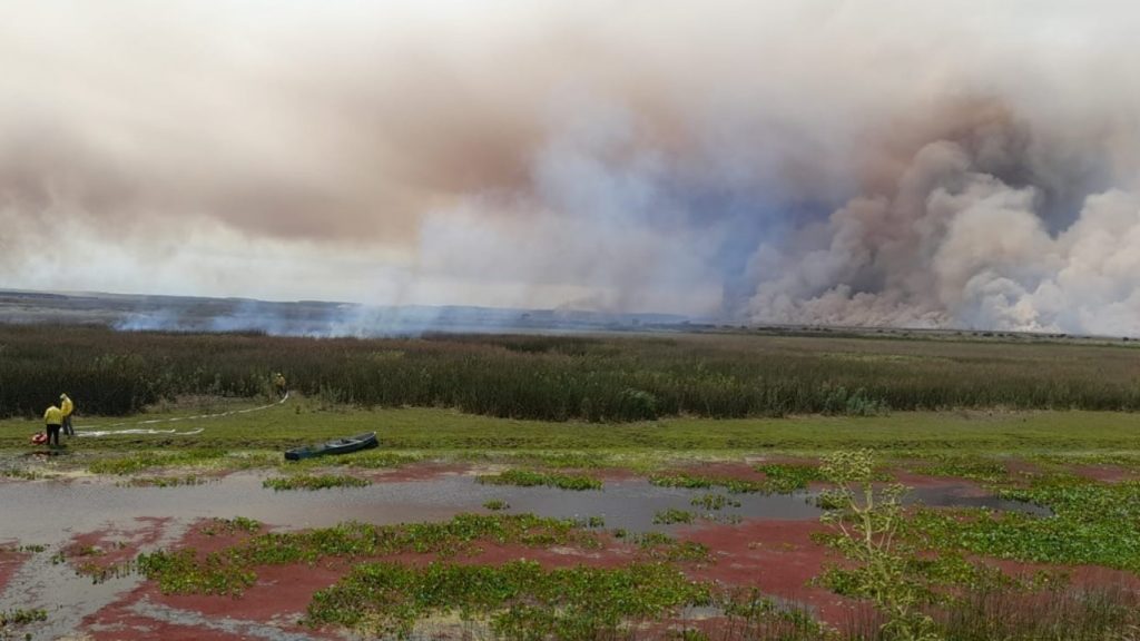 Satélite da NOAA registra extensão e intensidade do fogo no Taim