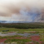 Satélite da NOAA registra extensão e intensidade do fogo no Taim