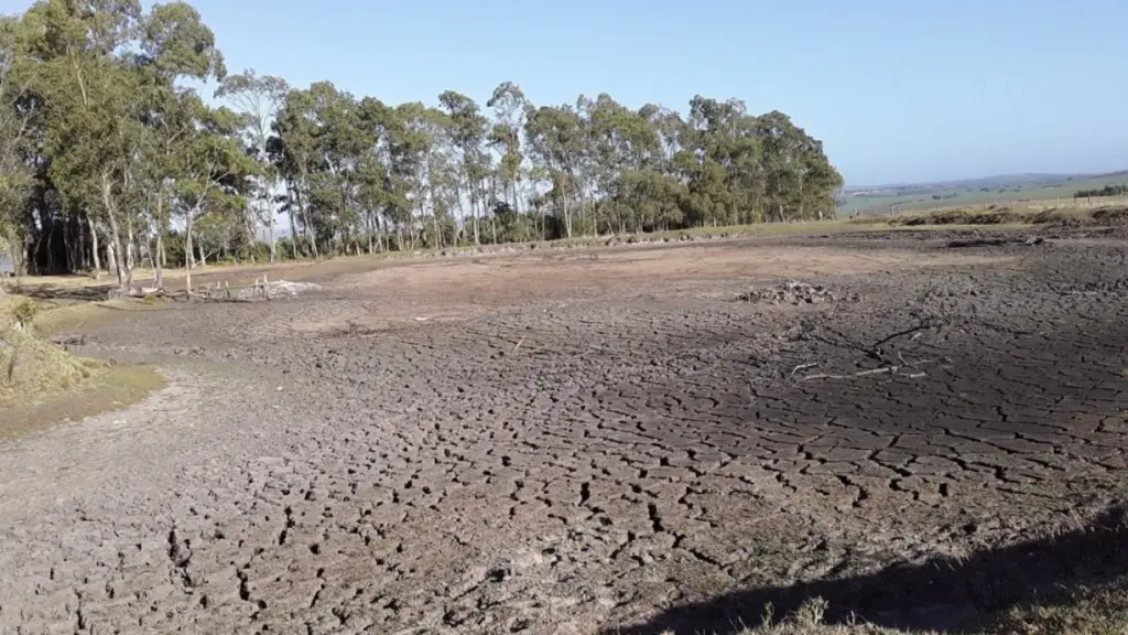 Estiagem piora a cada dia e tendência é se agravar ainda mais