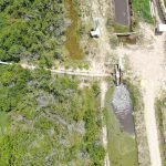 Estiagem: risco de mortandade de peixes na Grande Porto Alegre