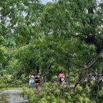 Downburst provoca estragos em bairros de Montevidéu