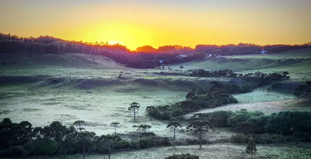 Primeira geada de 2023 deixa campos brancos de gelo no início de janeiro