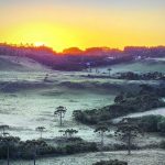 Primeira geada de 2023 deixa campos brancos de gelo no início de janeiro