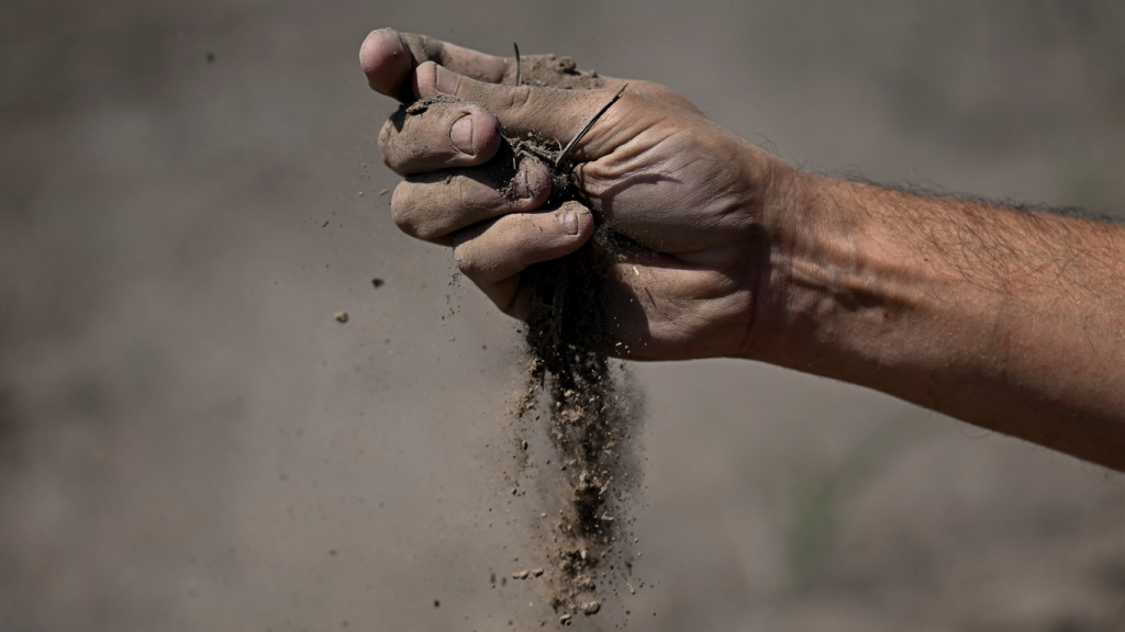 Galeria de imagens: seca arrasadora na Argentina