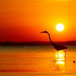 Veja a previsão do tempo para o fim de semana (7/1/2023)