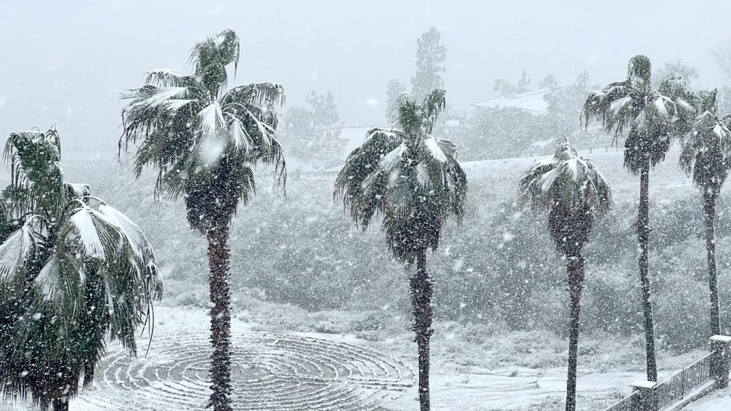 O que se viu no Sul do Brasil após nevascas históricas na Califórnia