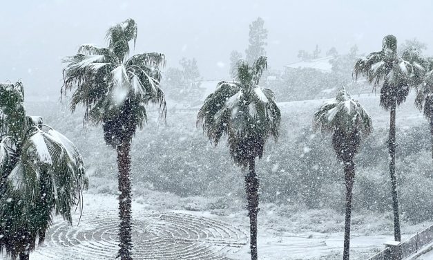 O que se viu no Sul do Brasil após nevascas históricas na Califórnia
