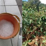 Calor vai favorecer mais temporais isolados típicos de verão