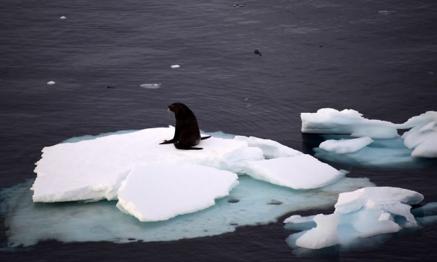 Gelo marinho na Antártida atinge menor cobertura já registrada