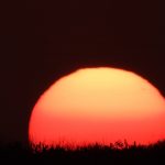 Onda de calor extremo atingirá Argentina, Uruguai e o Sul do Brasil