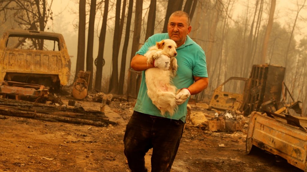 Galeria de fotos: a catástrofe dos incêndios florestais no Chile