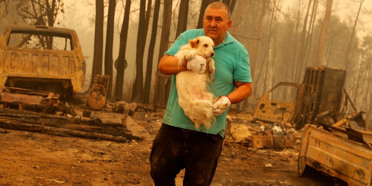 <span class="entry-title-primary">Galeria de fotos: a catástrofe dos incêndios florestais no Chile</span> <h2 class="entry-subtitle">Chile enfrenta uma onda de incêndios florestais com destruição e vítimas em meio a uma histórica onda de calor </h2>