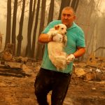 Galeria de fotos: a catástrofe dos incêndios florestais no Chile