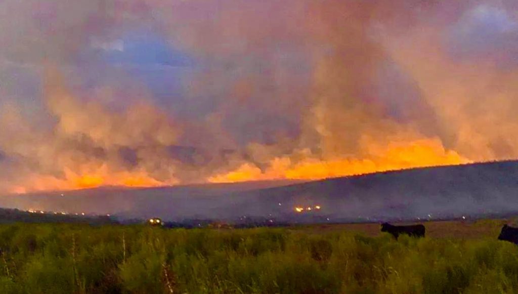 Pampa gaúcho arde com calor de 41,5ºC, seca e grandes incêndios