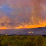 Pampa gaúcho arde com calor de 41,5ºC, seca e grandes incêndios