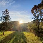 Domingo de Carnaval tem geada, frio de 2ºC na Serra e 10ºC em Porto Alegre