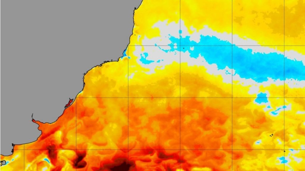 Como uma onda de calor marinha pode ter agravado o desastre em São Paulo