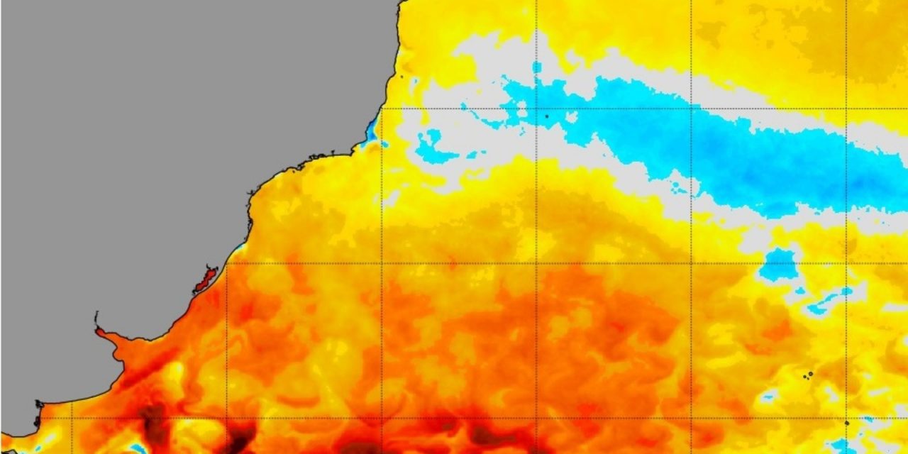 <span class="entry-title-primary">Como uma onda de calor marinha pode ter agravado o desastre em São Paulo</span> <h2 class="entry-subtitle">Temperaturas estão acima da média nas latitudes médias do Atlântico Sul por um longo período e aumentaram nas últimas semanas </h2>