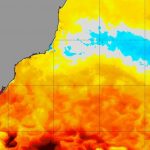 Como uma onda de calor marinha pode ter agravado o desastre em São Paulo