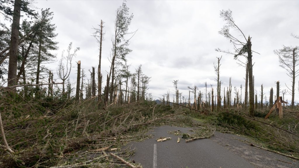 Ciclone traz calamidade na Nova Zelândia que pede ajuda ao mundo