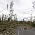 Ciclone traz calamidade na Nova Zelândia que pede ajuda ao mundo