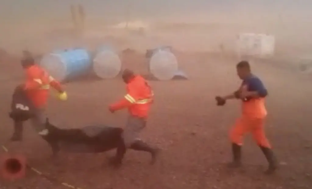 Vídeo registra tempestade de poeira com a seca no interior gaúcho