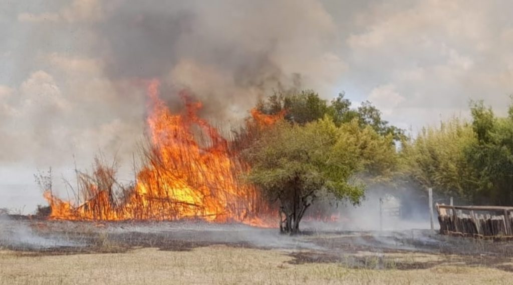 Seca severa e calor extremo espalham fogo no interior gaúcho