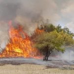 Seca severa e calor extremo espalham fogo no interior gaúcho