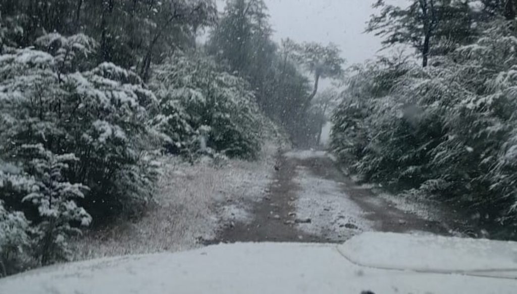 Ar frio que chega hoje trouxe recorde e neve na Argentina