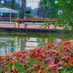 Confira o que esperar do clima no mês de abril