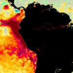 El Niño costeiro se forma e impactará o clima no Sul do Brasil