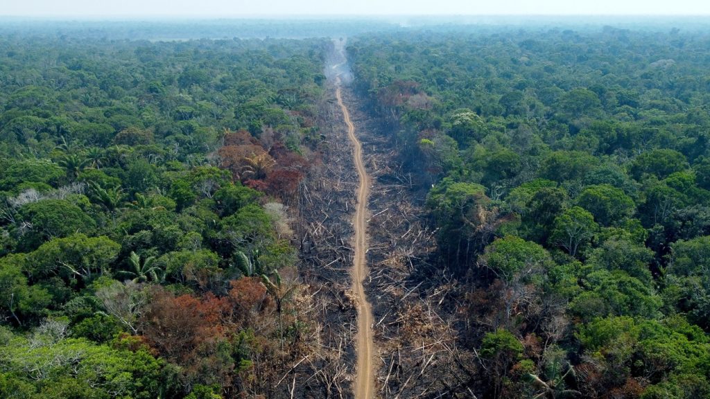 Estudo mostra efeitos do desmatamento na redução da chuva