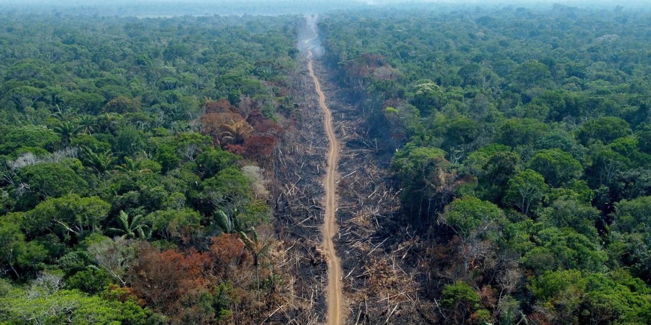 <span class="entry-title-primary">Estudo mostra efeitos do desmatamento na redução da chuva</span> <h2 class="entry-subtitle">Pesquisa conseguiu quantificar o impacto do desmatamento no regime de precipitação em florestas tropicais como da Amazônia e Congo</h2>